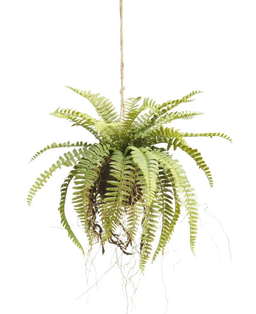 Artificial Hanging Fern on Ball